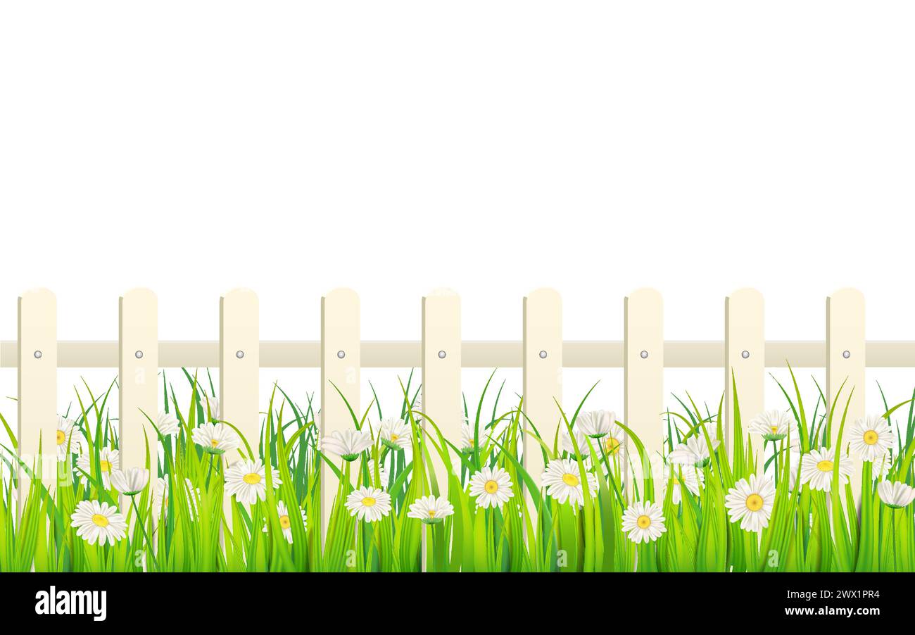 Spring green grass, daisy flowers, white fence Stock Vector
