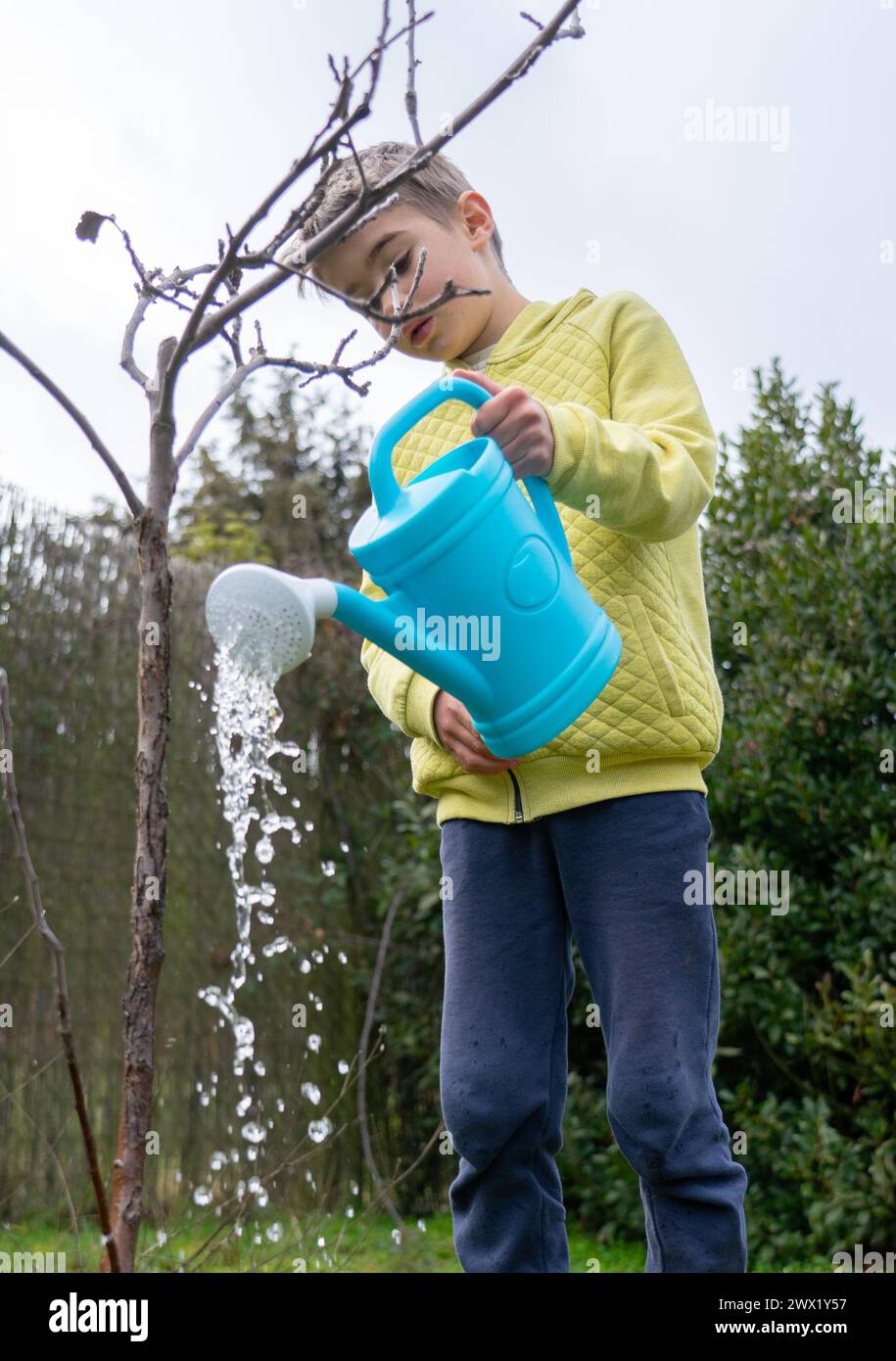 Boy watering a small apple tree with a watering can Stock Photo