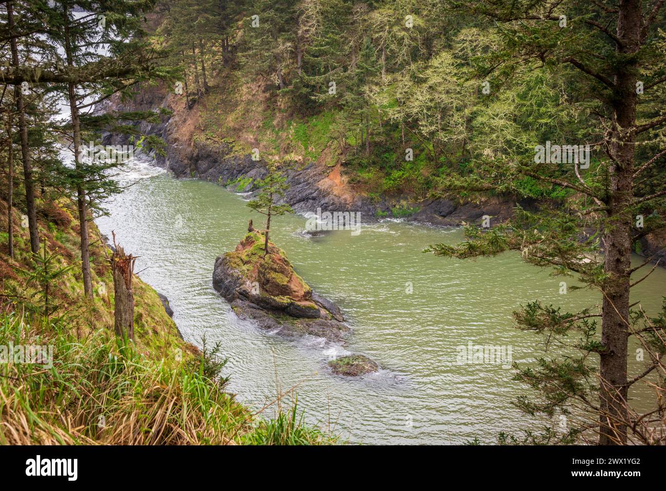 Cape Disappointment State Park in Washington State, USA Stock Photo - Alamy