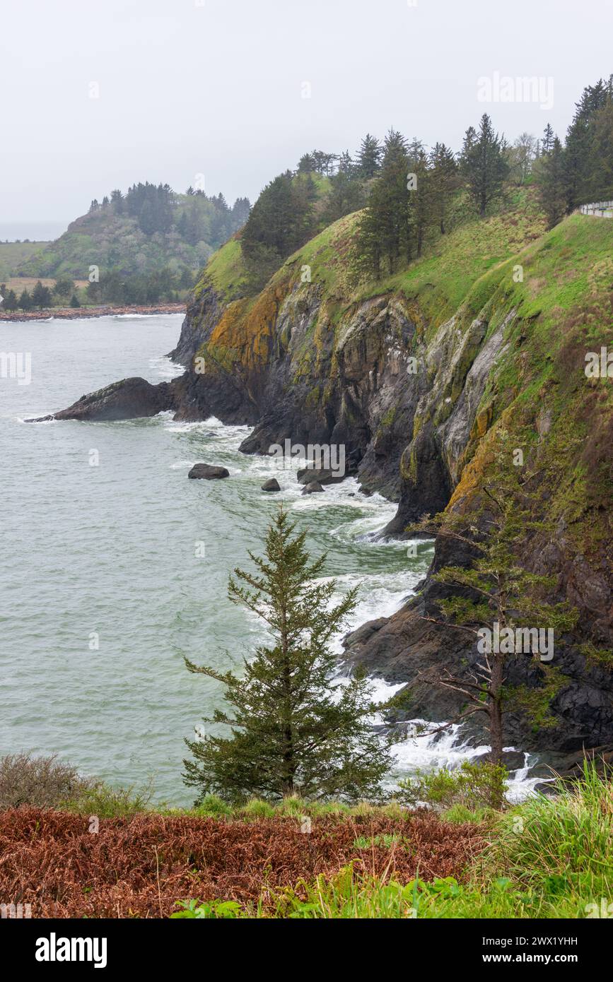 Cape Disappointment State Park in Washington State, USA Stock Photo - Alamy