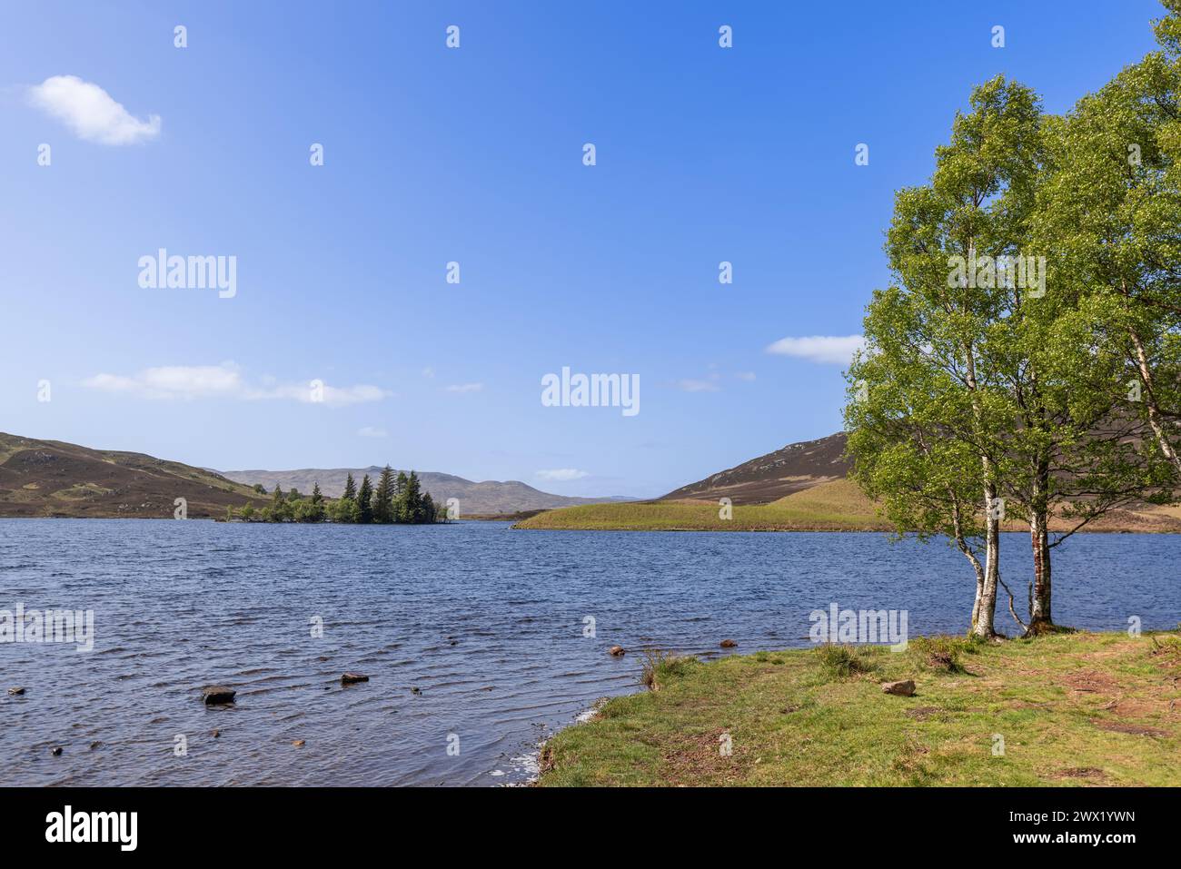 A peaceful Scottish loch bordered by lush, green trees under a clear sky, with distant hills gently rolling into the landscape Stock Photo