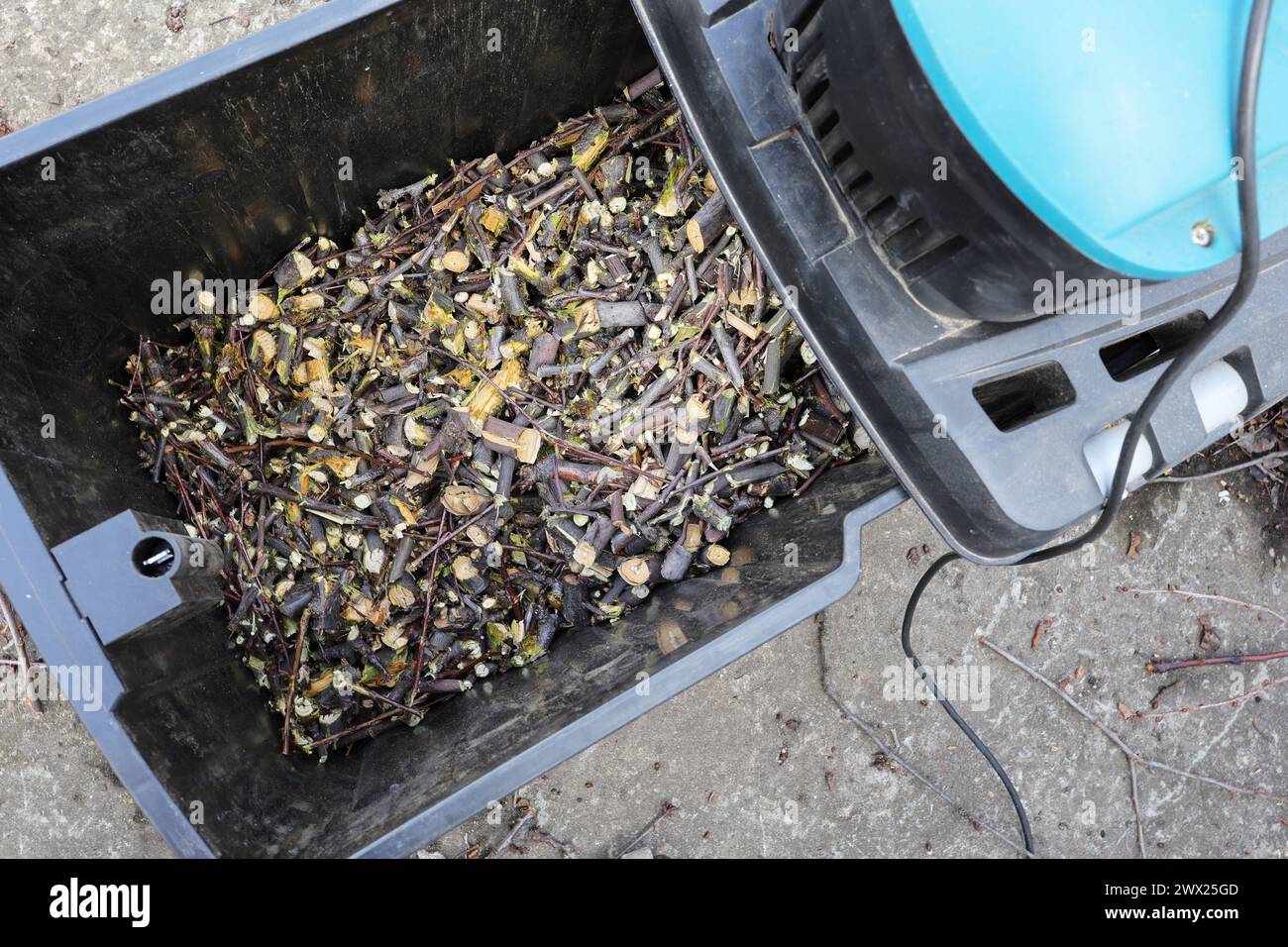 Mulch is a product of processing branches after pruning garden trees