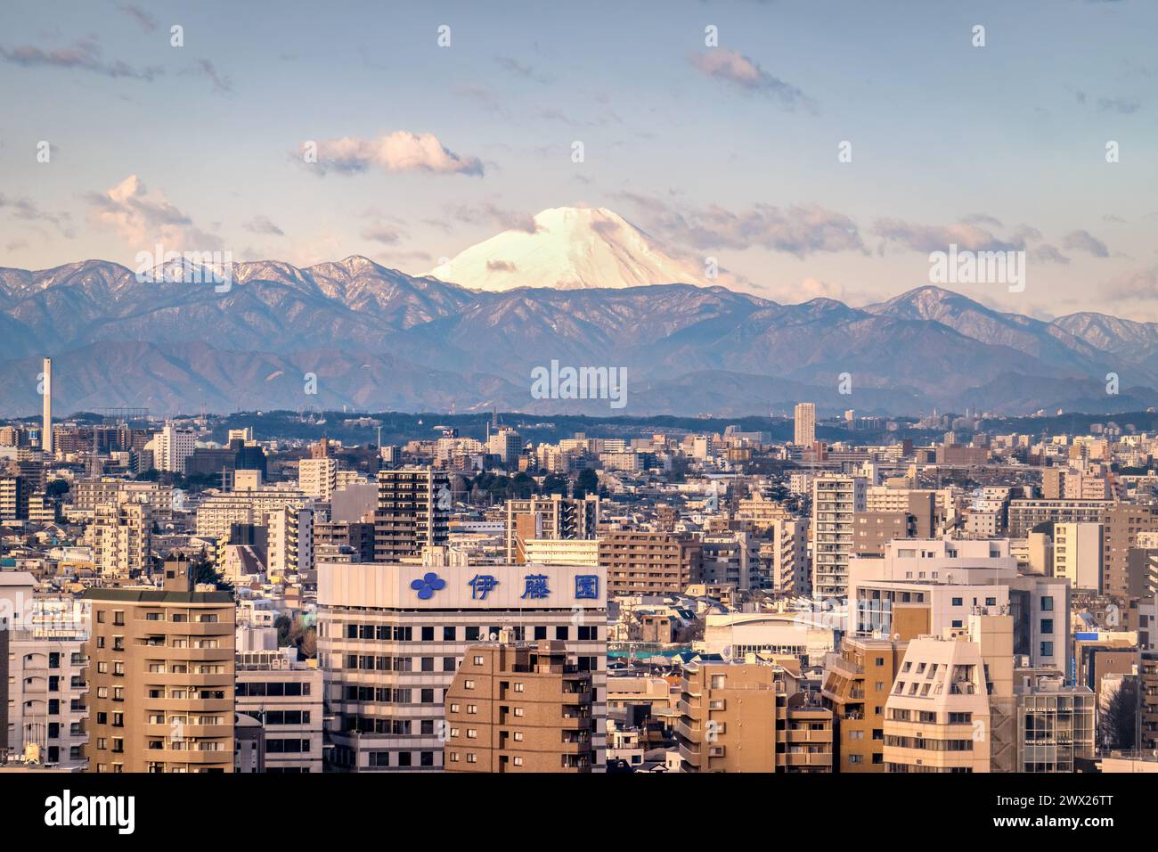 Skyline of Tokyo in Japan. Tokyo cityscape and Mount Fuji in the early morning sun. Stock Photo