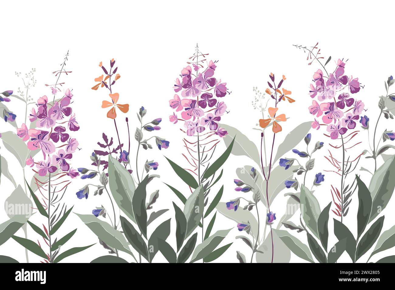 Vector floral seamless pattern, border with willow-herb. Stock Vector