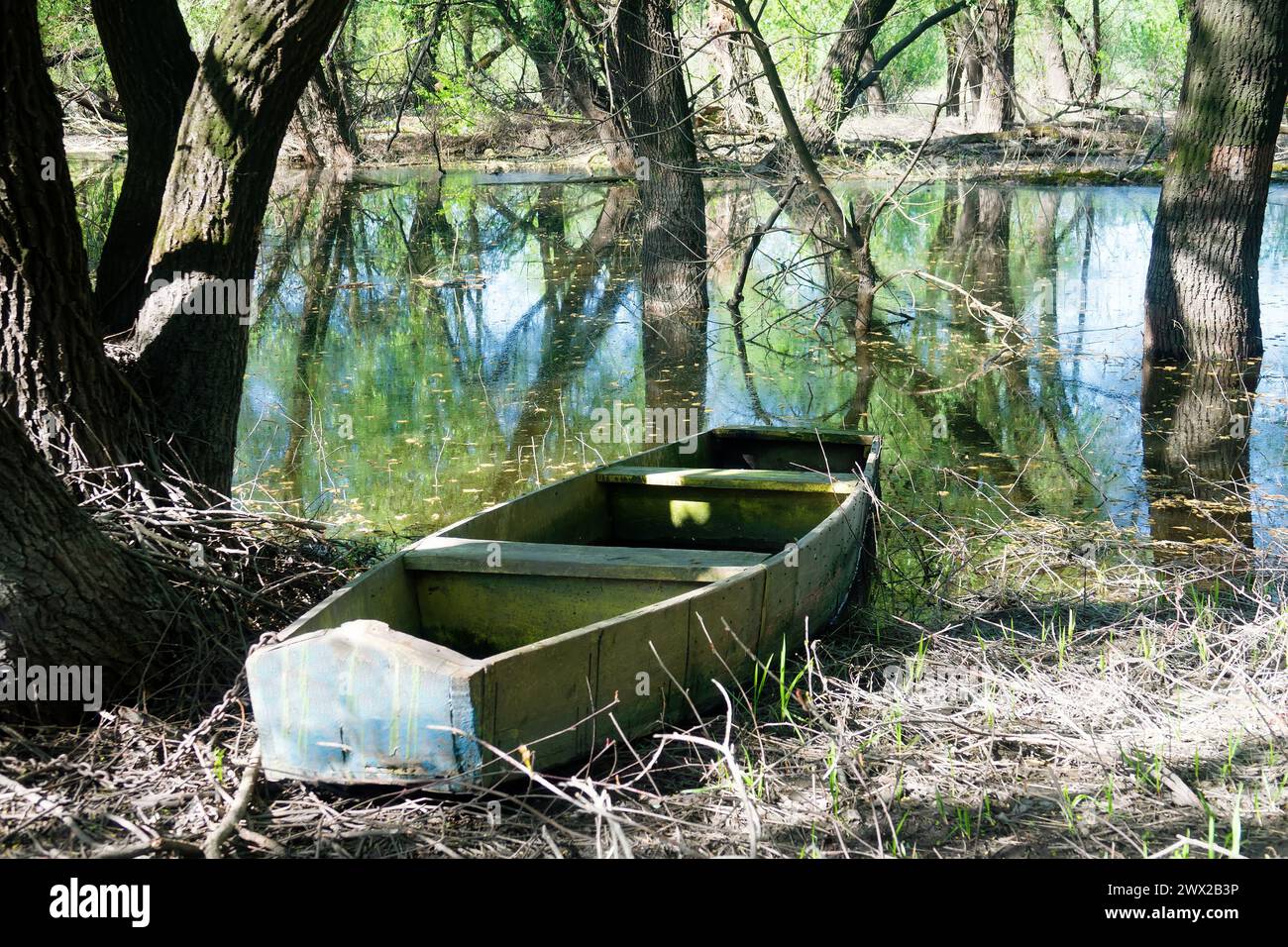 Old style boat, primitive box-shaped wooden boat for sailing in small inland reservoirs on the banks of the dead arm of river and floodplain forest. D Stock Photo