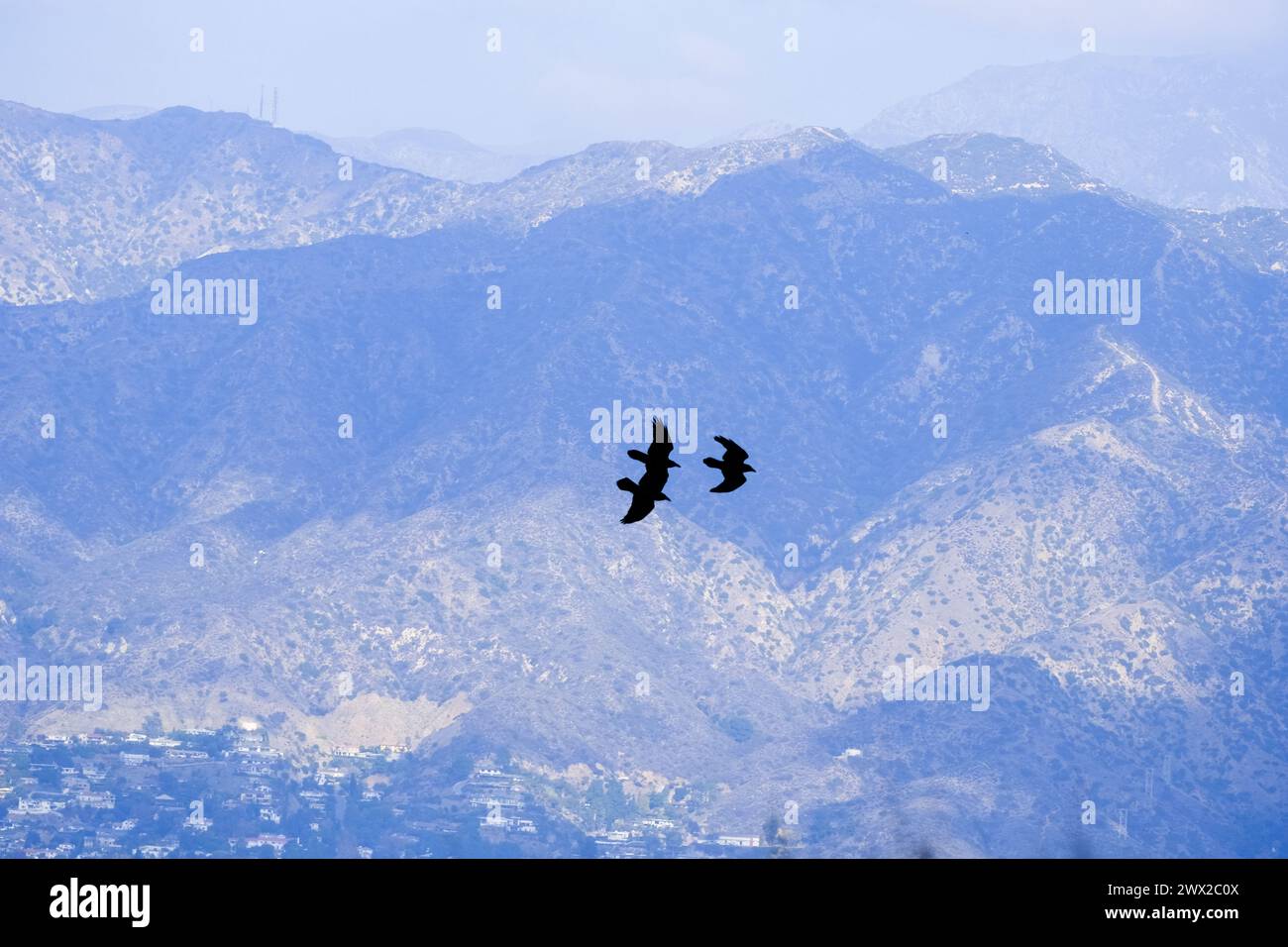 Griffith Park, Los Angeles, California, USA. With over 4,000 acres the ...