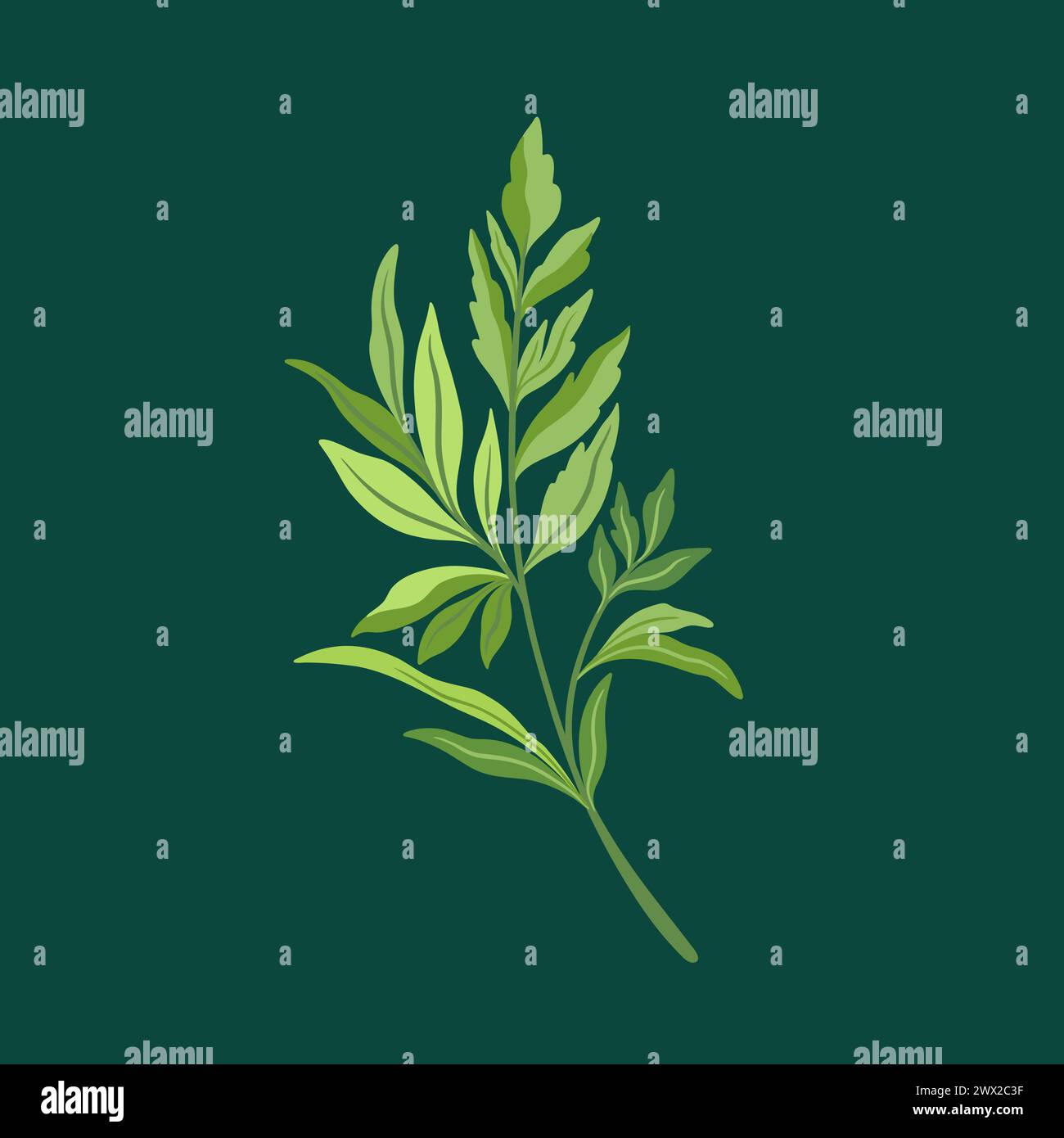 Collection of elegant beautiful tropical plants isolated on background. Cute leaves for decorative design elements. Stock Vector