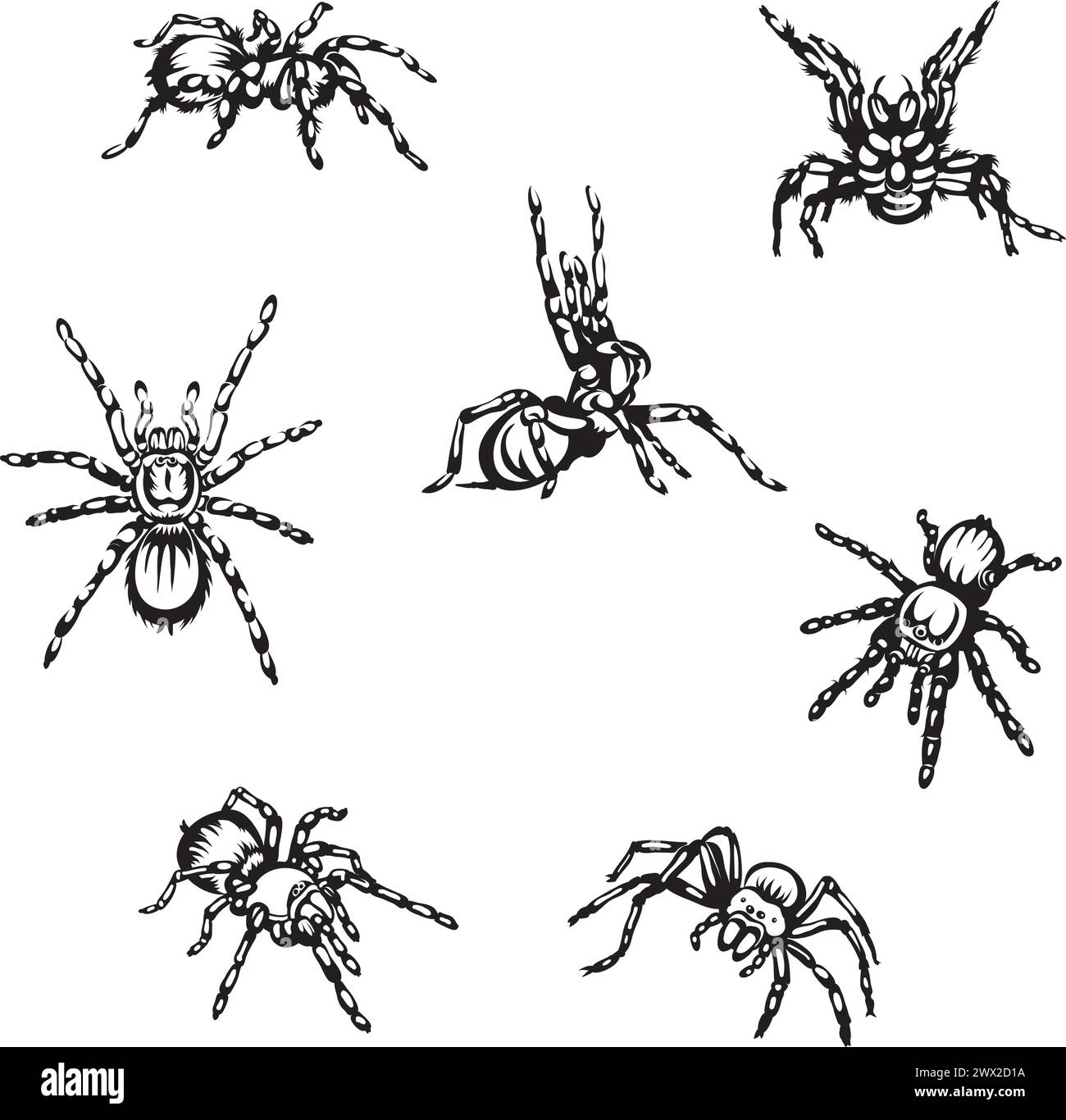 spider, tarantula, insect, danger, bite, black, vector, graphics, design, sign Stock Vector