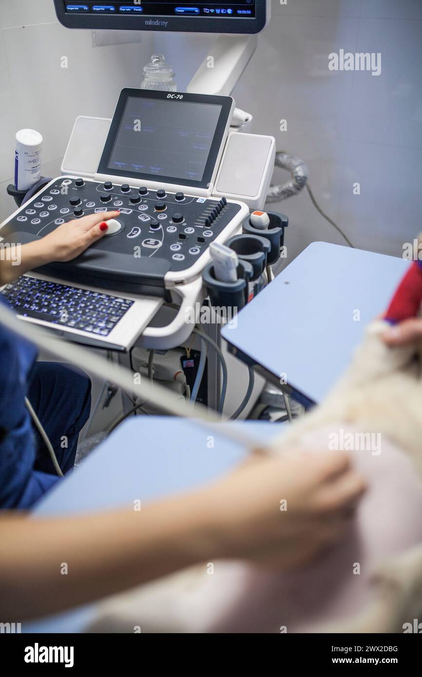 Pregnant cat hi-res stock photography and images - Alamy