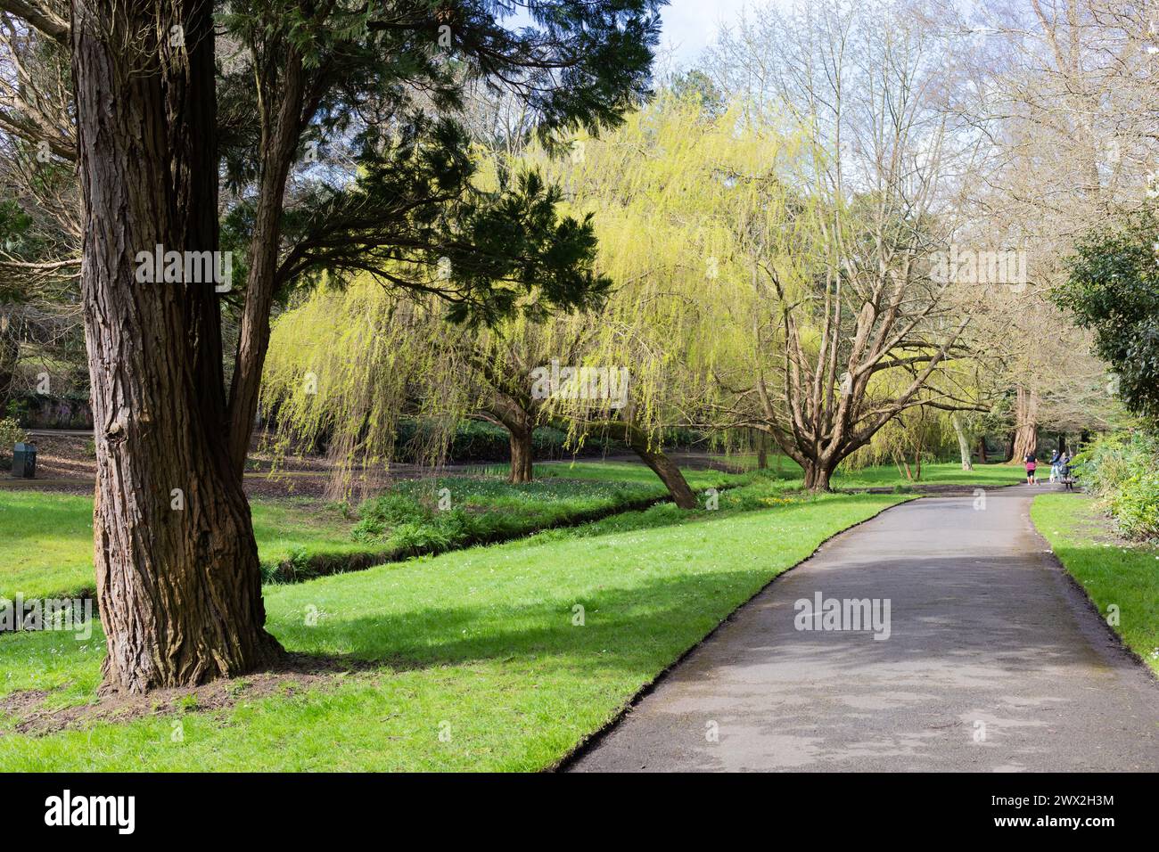 Bournemouth Upper Gardens in early spring Stock Photo