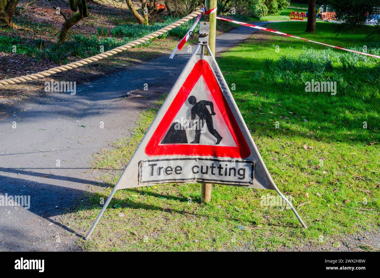 Tree cutting sign blocking a path in a country park in County Down for public safety. Stock Photo