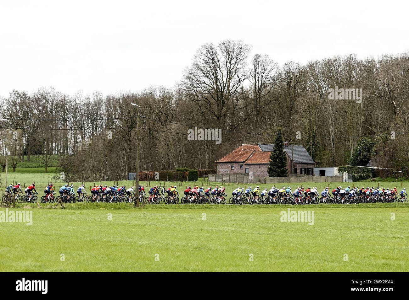 Waregem, Belgium. 27th Mar, 2024. The pack of riders pictured in action during the men elite race of the 'Dwars Door Vlaanderen' cycling race, 188, 6 km from Roeselare to Waregem, Wednesday 27 March 2024. BELGA PHOTO DAVID PINTENS Credit: Belga News Agency/Alamy Live News Stock Photo