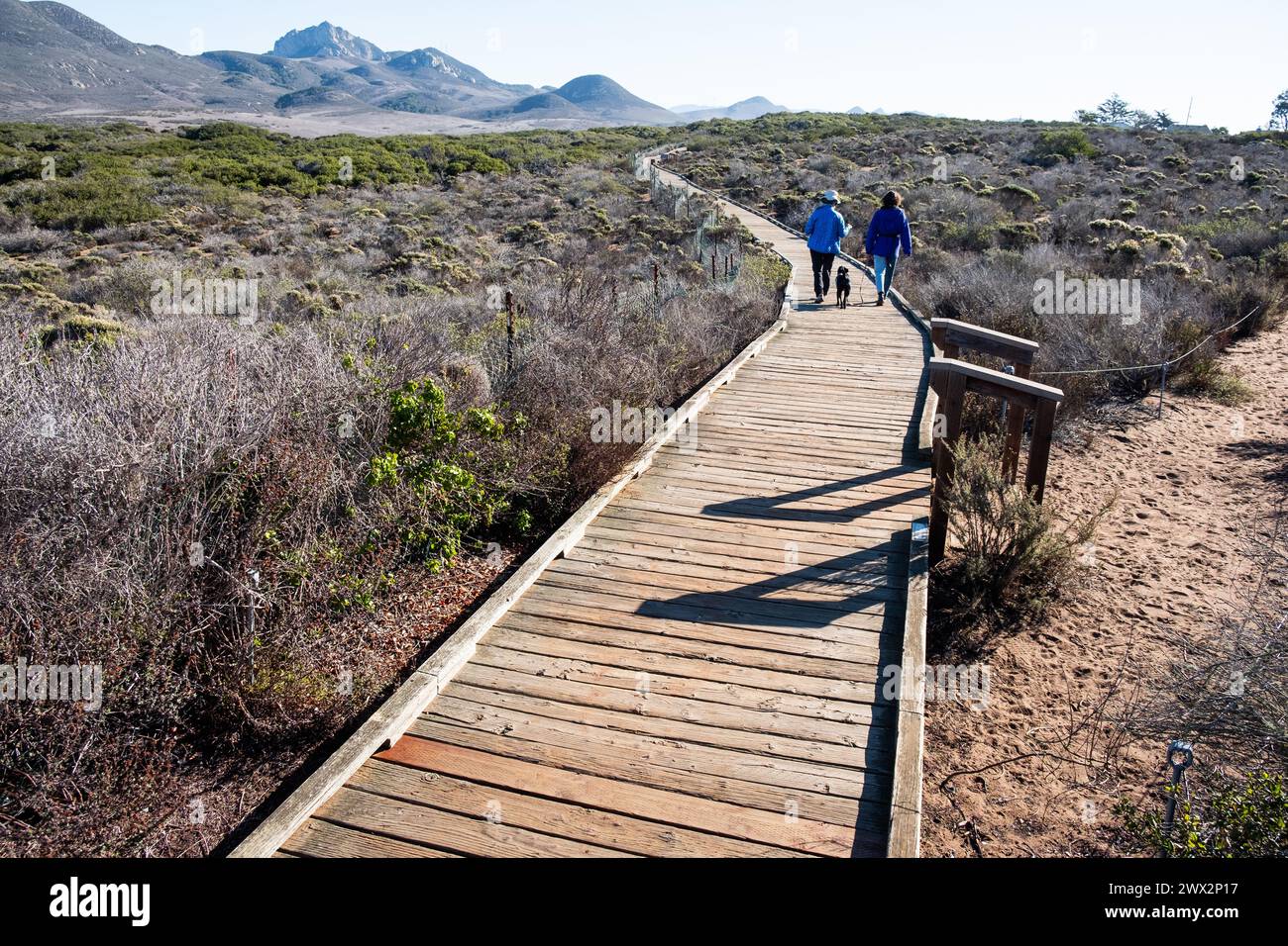 Visitors on the boardwalk at El Morro Elfin Forest Natural Area near