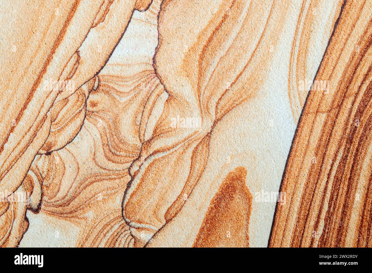Close view of Arizona sandstone. Jerome, Arizona, USA, by Dominique Braud/Dembinsky Photo Assoc Stock Photo