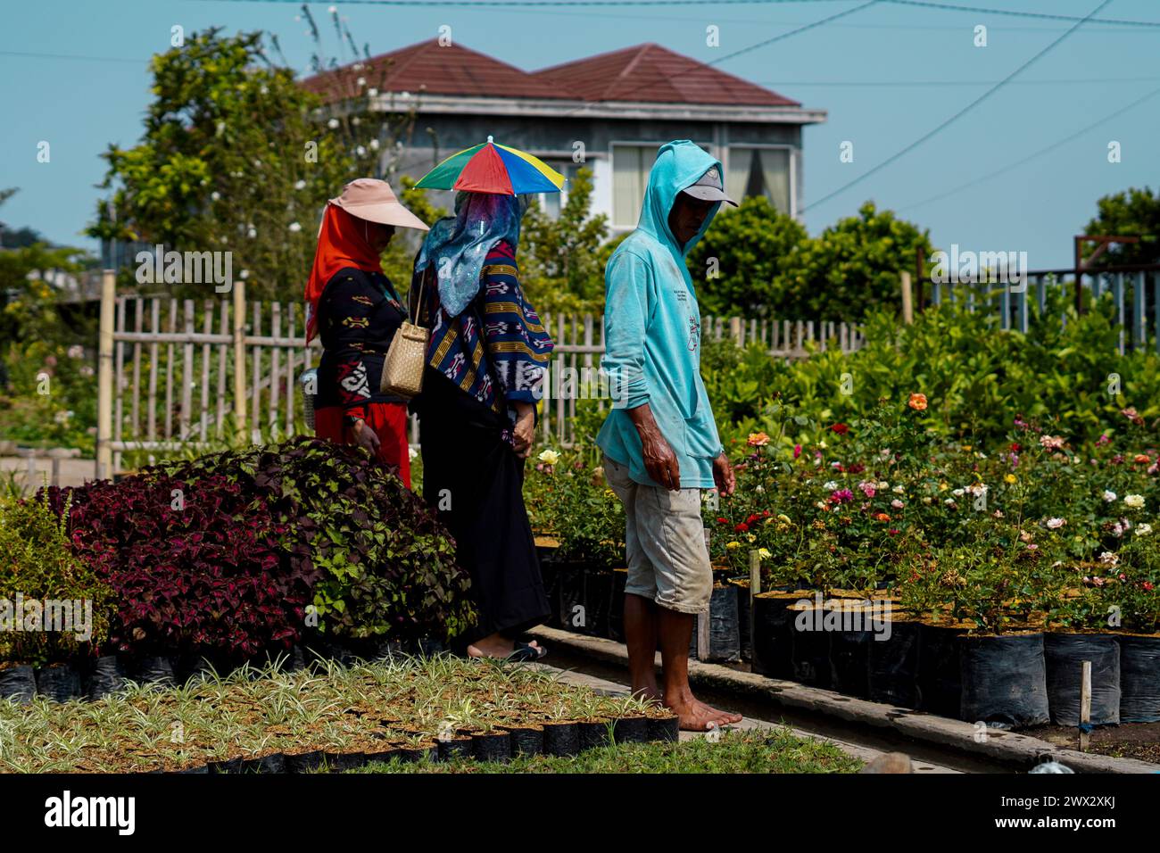 People wearing green hats hi-res stock photography and images - Alamy