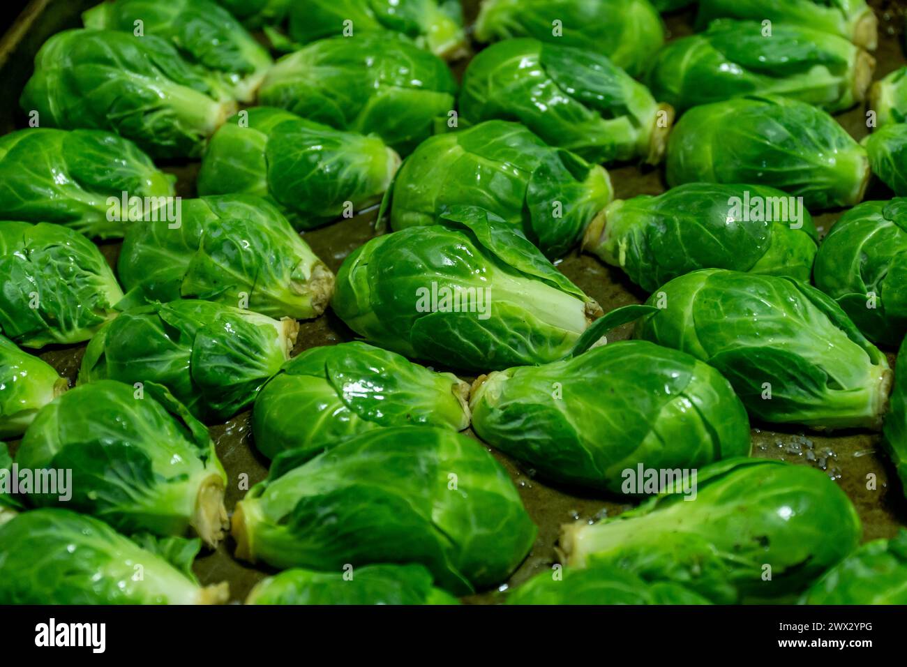 Sliced brussels sprouts prior to be roasted, in a kitchen in New York on Saturday, March 23, 2024. (© Richard B. Levine) Stock Photo