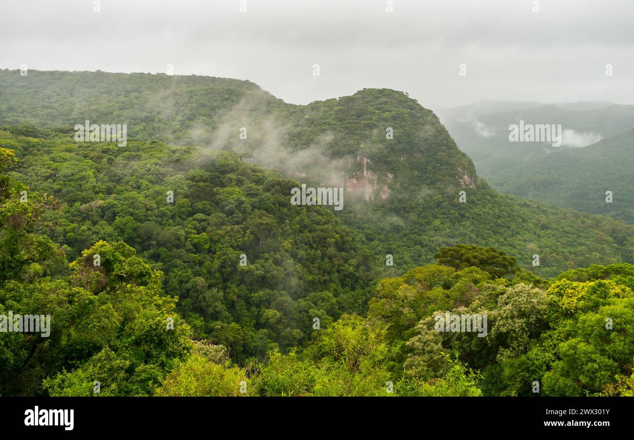 View from Mirante da Solidao (Solitude Viewpoint) at the Ronda Municipal Natural Park in Sao Francisco de Paula, South of Brazil Stock Photo