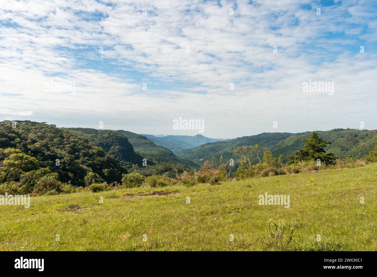 Mountains and valley view at Ronda Municipal Park in Sao Francisco de Paula, South of Brazil Stock Photo