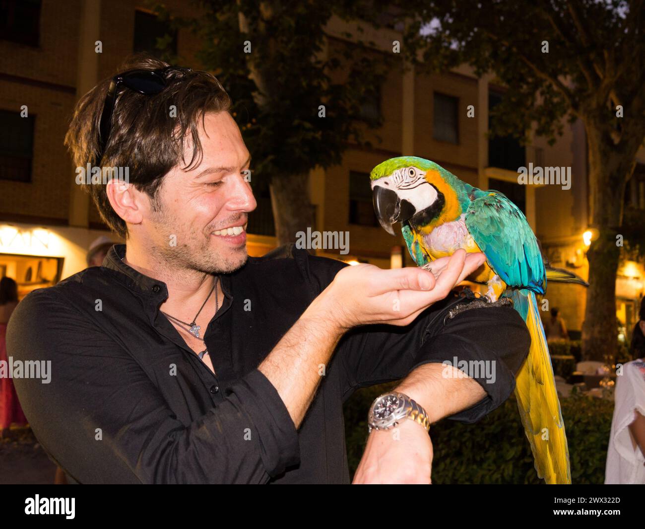 Laughing caucasian handsome man in black shirt holds a parrot and feeds it looking at his hand on the street at night Stock Photo