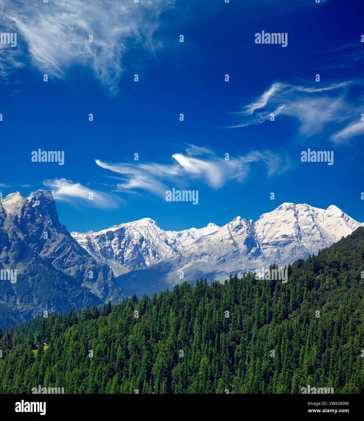 Himalayas and forest. India Stock Photo