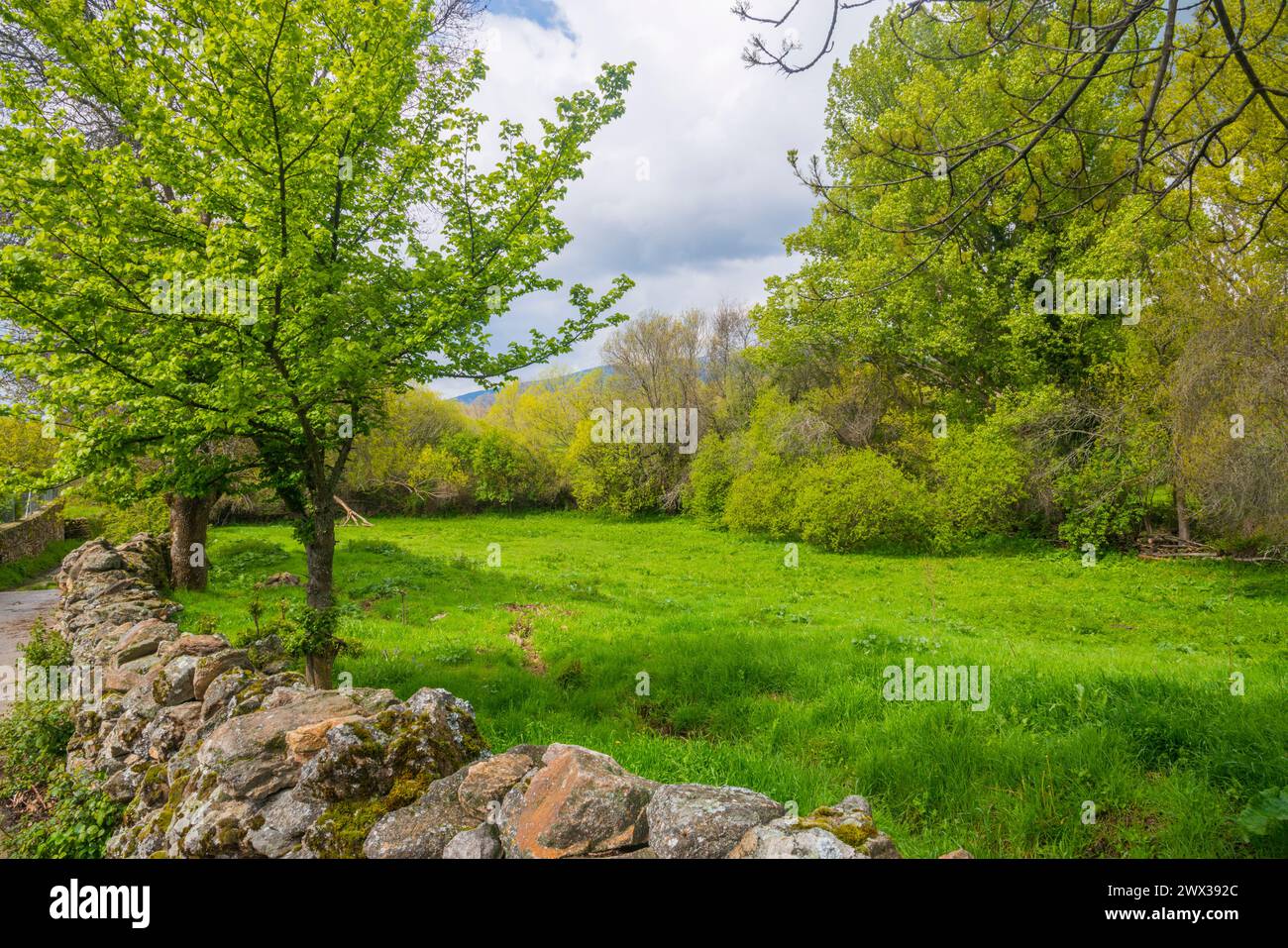 Paisajes de praderas hi-res stock photography and images - Alamy