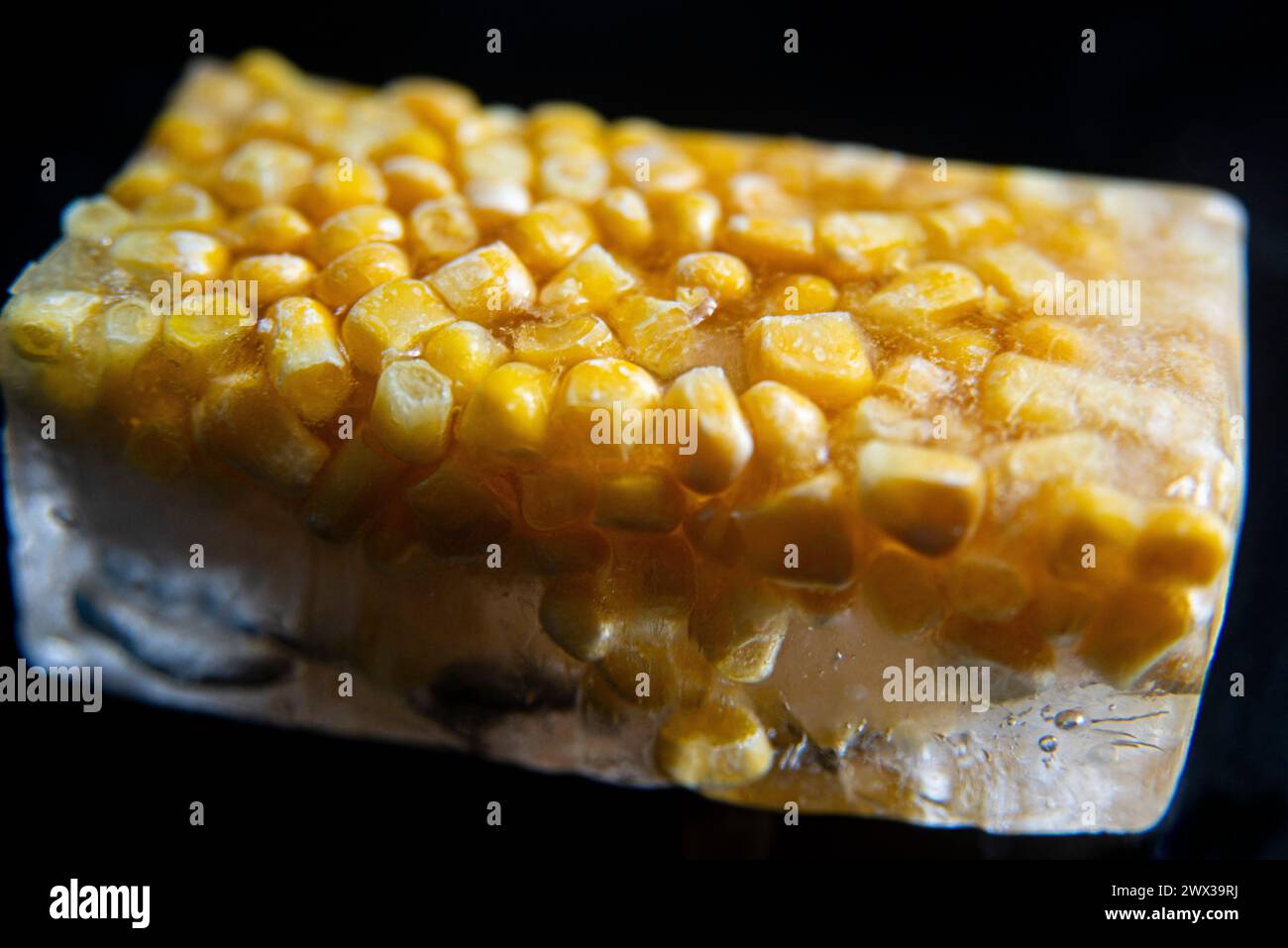 A close up macro photograph of yellow sweetcorn kernels frozen in an ...