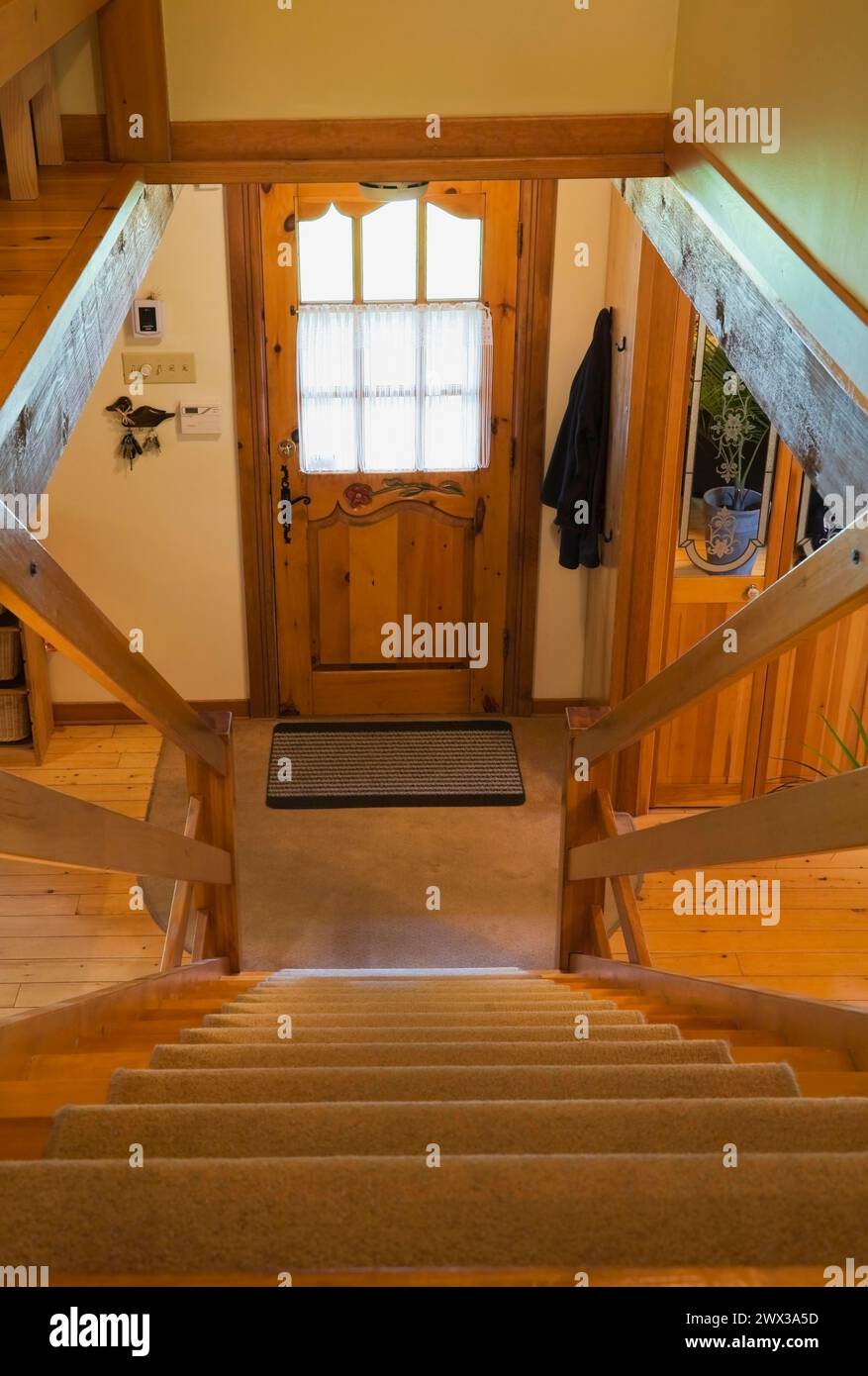Steep staircase with tan carpet covered steps leading to downstairs floor and main entrance door inside Canadiana style log cabin home, Quebec, Canada Stock Photo