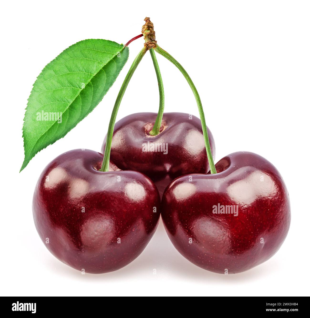 Sweet cherries with leaf isolated on white background. Stock Photo