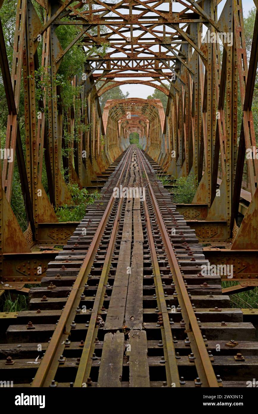 The disused Alfio steel girder railway bridge Pyrgos, Peloponnese