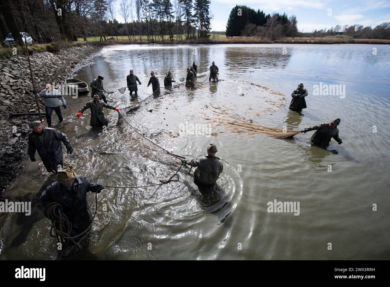 Svebohy, Horni Stropnice. 27th Mar, 2024. Fishermen during a spring traditional fish haul of the Kralovsky (Royal) pond, in Svebohy, Horni Stropnice, Czech Republic, March 27, 2024. Credit: Vaclav Pancer/CTK Photo/Alamy Live News Stock Photo