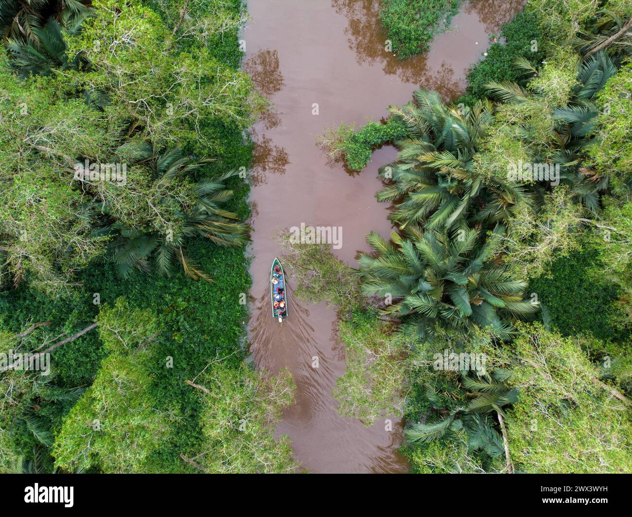 A small boat passes through a mangrove area in West Kalimantan. Stock Photo