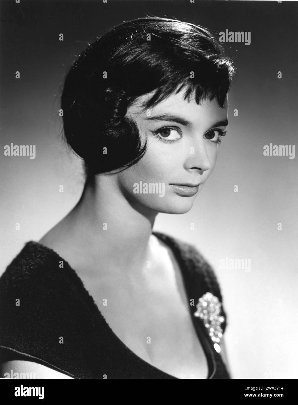 Early Publicity Portrait of Cult British Horror Actress BARBARA STEELE circa 1959 at the start of her career. Rank  Films publicity. Stock Photo