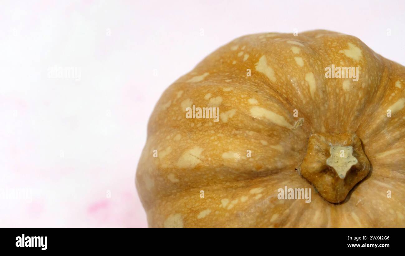 Small pumpkin with a pink marble background. With copy space on the left. Stock Photo