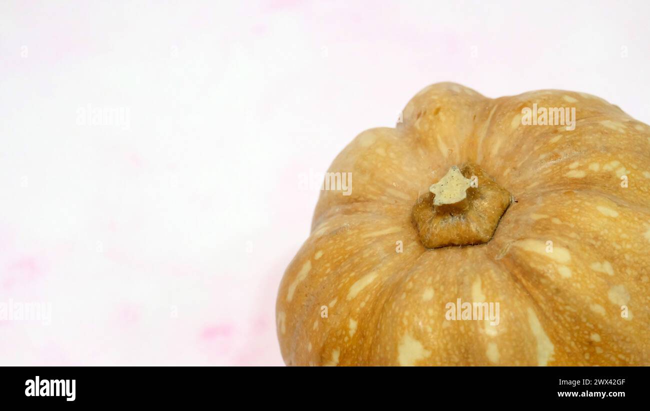 Small pumpkin with a pink marble background. With copy space on the left. Stock Photo