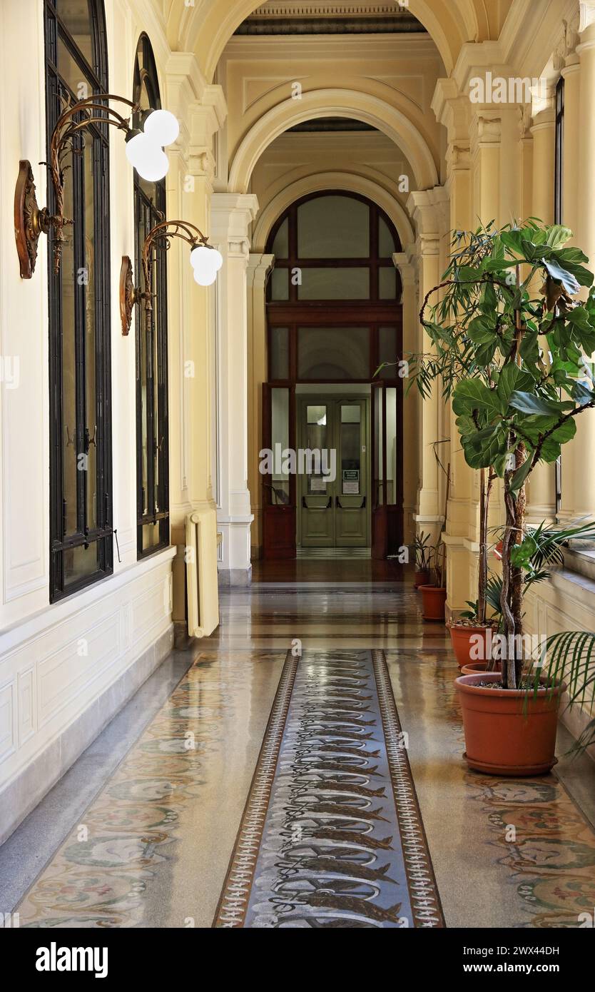 Palazzo vanga hi-res stock photography and images - Alamy