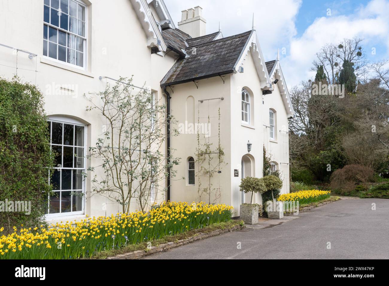 Jermyn's House at Sir Harold Hillier Gardens, a visitor attraction in Hampshire, England, UK, with daffodils in flower during March or spring Stock Photo