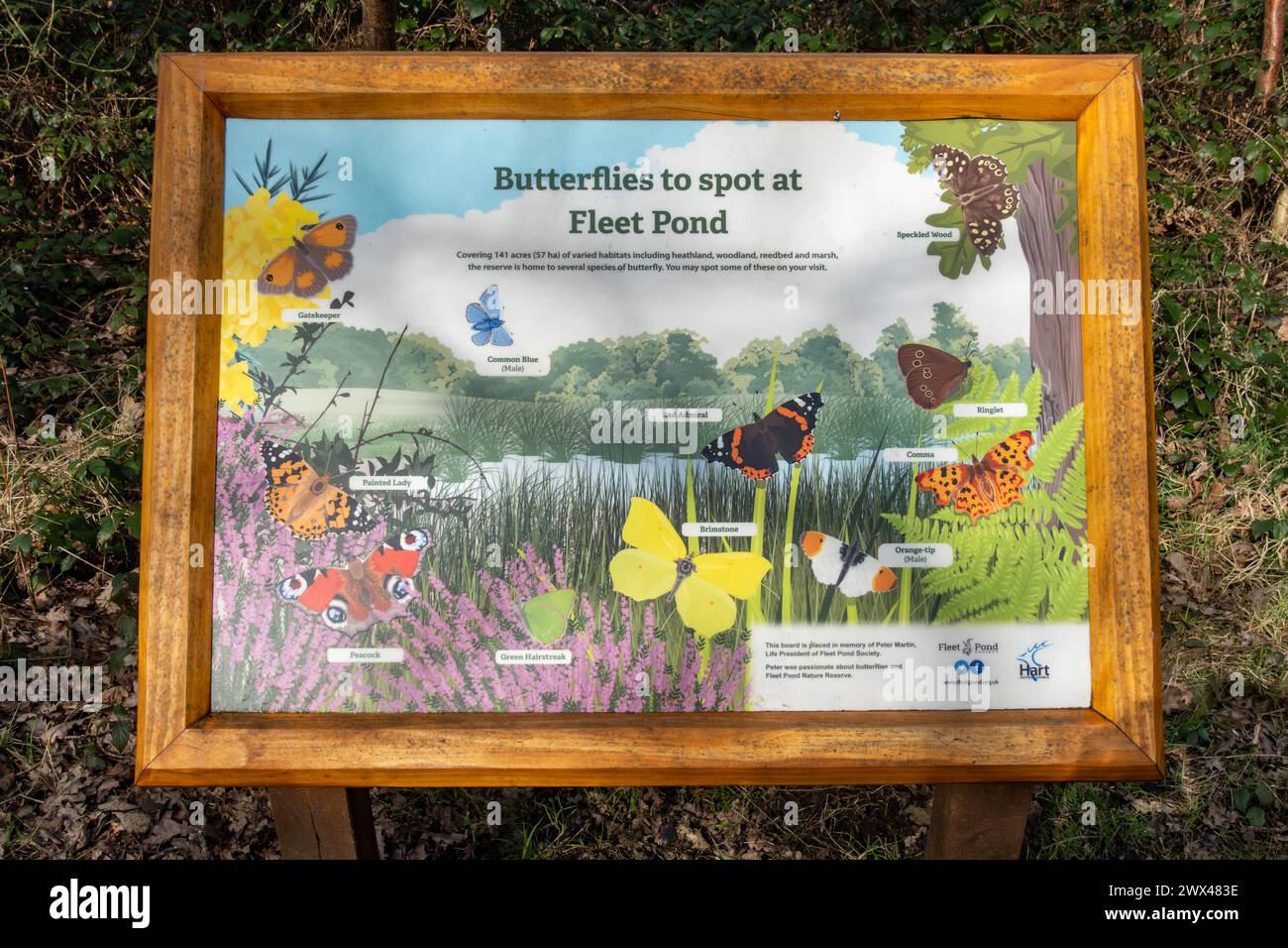 Information board about Butterflies to spot at Fleet Pond, a local nature reserve in Hampshire, England, UK Stock Photo