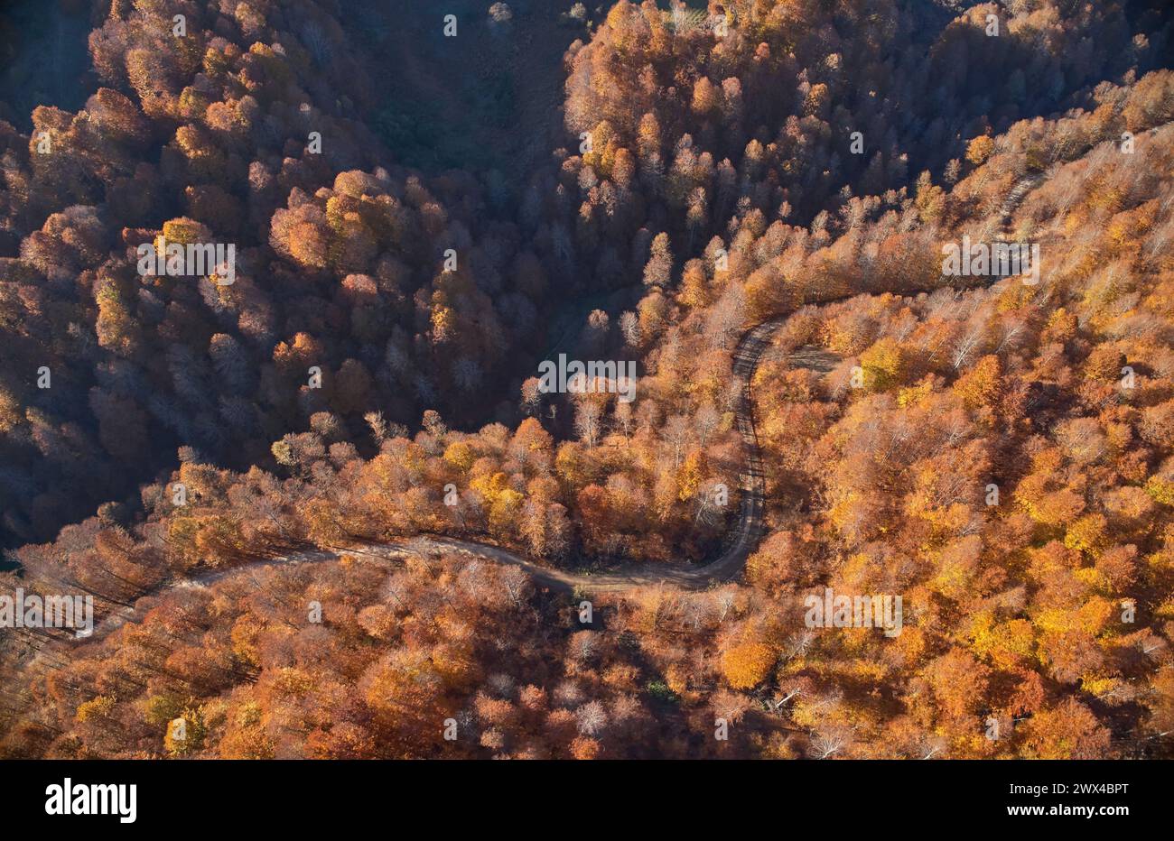 Aerial autumn colors hi-res stock photography and images - Alamy