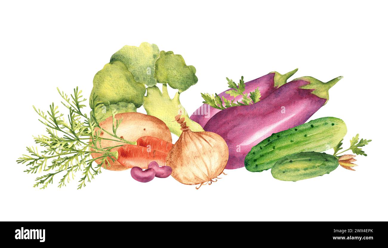 Vegetable composition. Set of broccoli, eggplant, cucumbers and carrot. Potato and parsley plant, onion and kidney beans. Hand drawn botanical Stock Photo
