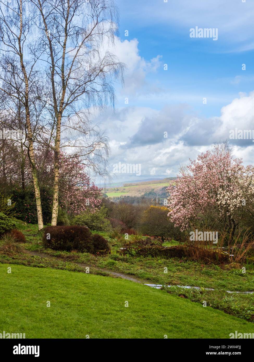 Early spring views at The Garden House, Buckland Monachorum, Devon, UK, framing the views acroos the West Devon hills to Bodmin Moor Stock Photo