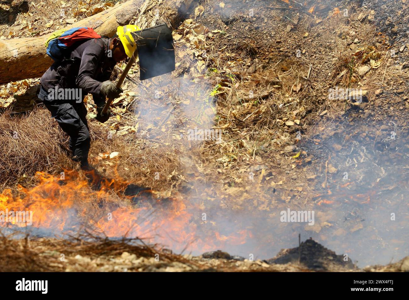 Valencia, Carabobo, Venezuela. 27th Mar, 2024. March 27, 2024. Forestry firefighters participate in efforts to quench a forest fire in El Café hill, in the municipality of Naguanagua, Carabobo state. Photo: Juan Carlos HernÃndez (Credit Image: © Juan Carlos Hernandez/ZUMA Press Wire) EDITORIAL USAGE ONLY! Not for Commercial USAGE! Stock Photo