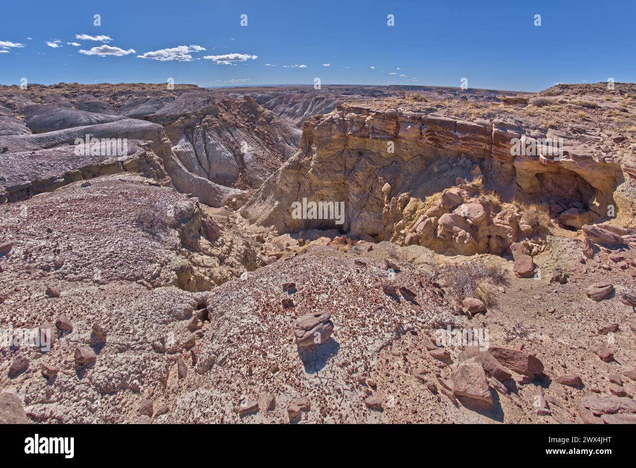 A deep fissure of eroded bentonite near Hamilili Point on the south end of Petrified Forest National Park Arizona. Stock Photo