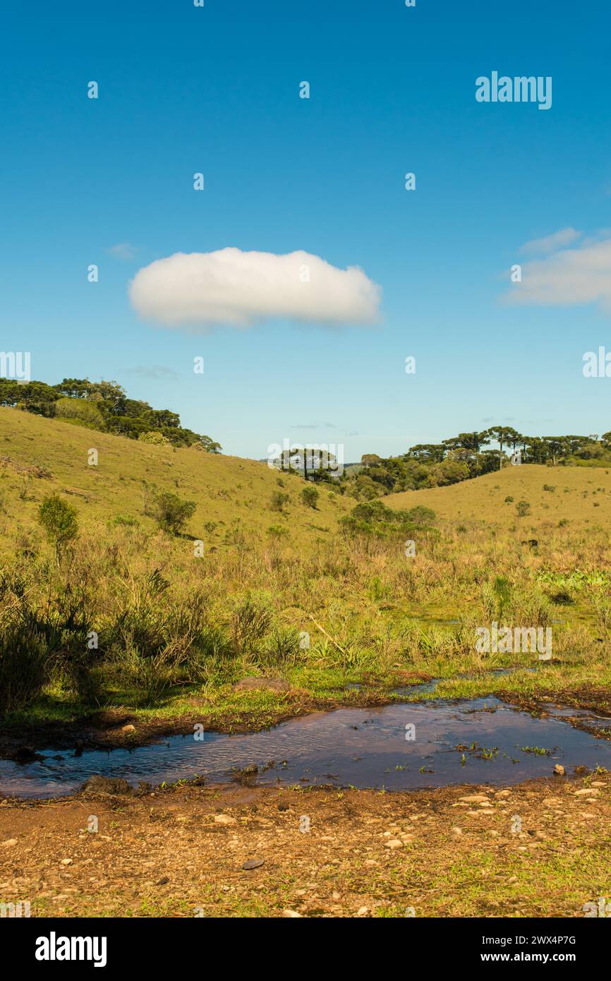 Landscape of Ronda Municipal Park in Sao Francisco de Paula, South of Brazil Stock Photo