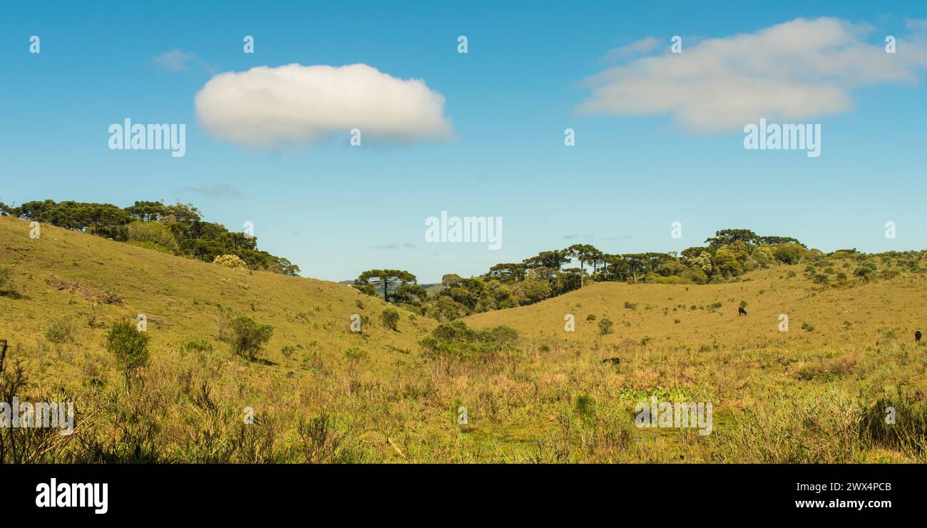 Landscape of Ronda Municipal Park in Sao Francisco de Paula, South of Brazil Stock Photo