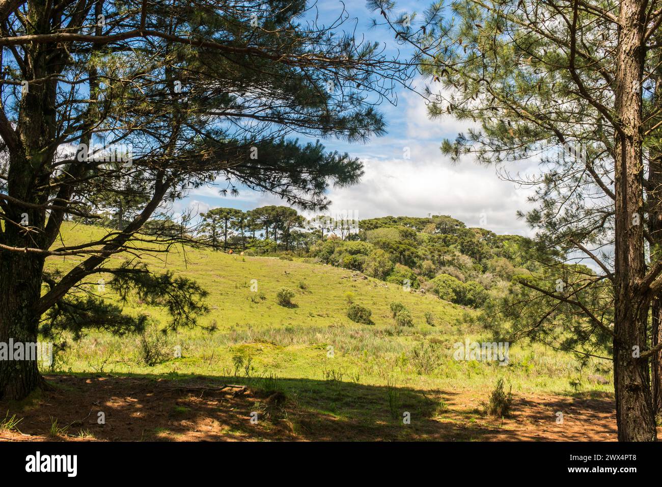 A view of Ronda Municipal Park in Sao Francisco de Paula, South of Brazil Stock Photo