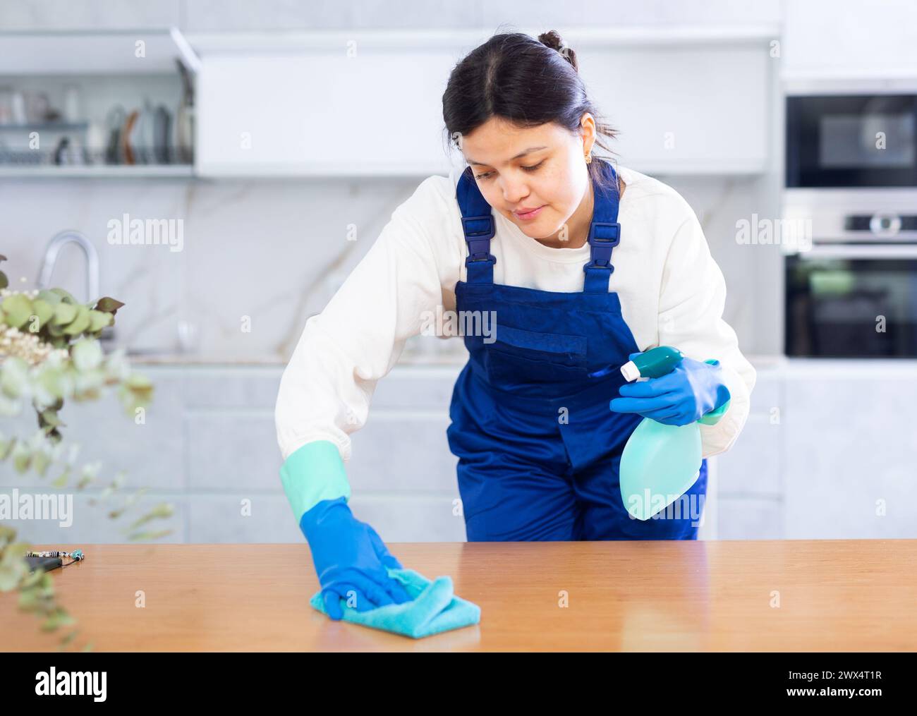 Diligent young female janitor dusting furniture with cleaning spay ...