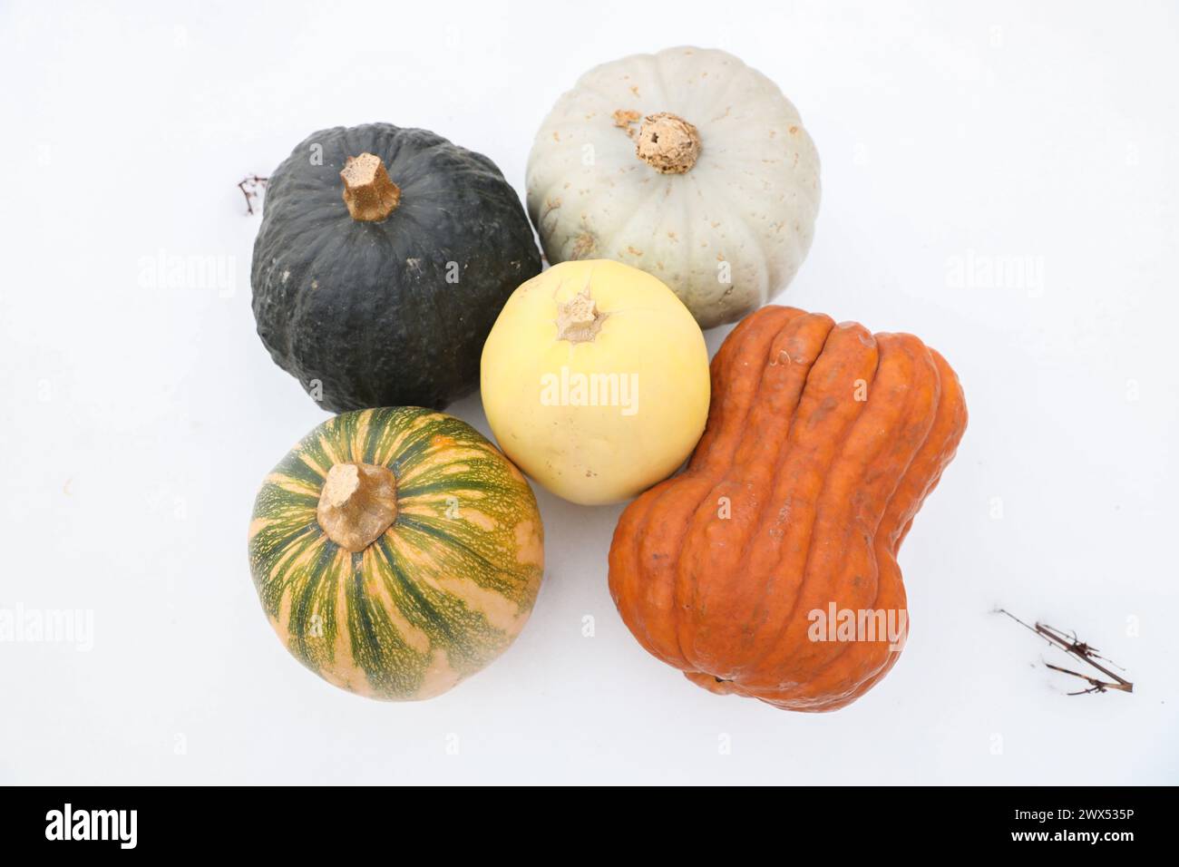 Farm Fresh Vegetables Stock Photo - Alamy