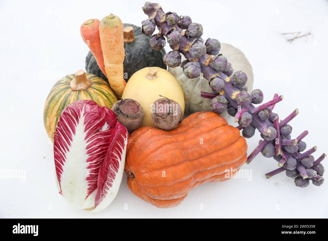 Farm Fresh Vegetables Stock Photo - Alamy