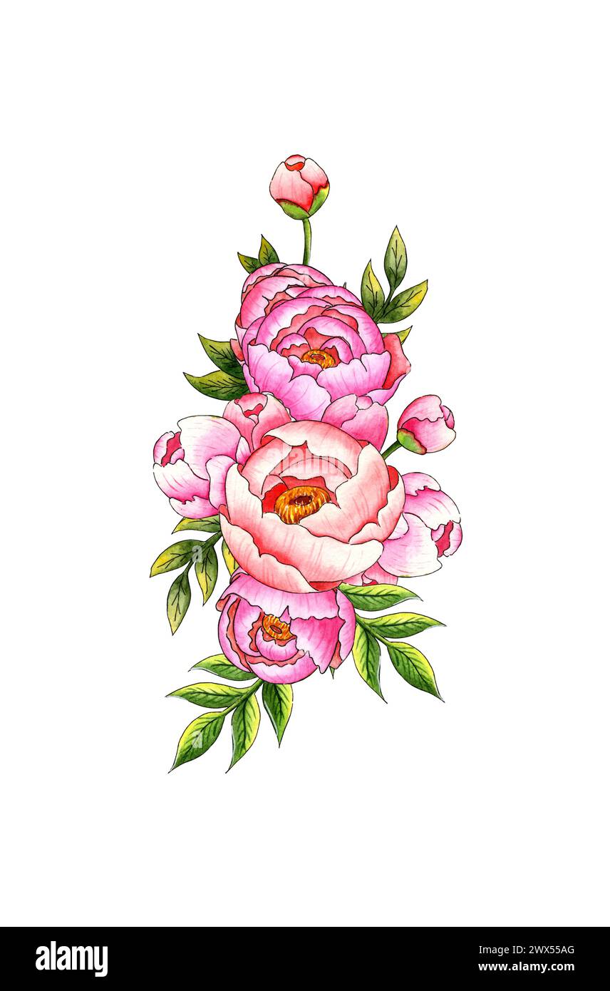 Watercolor illustration of a bouquet of pink peonies with buds and ...