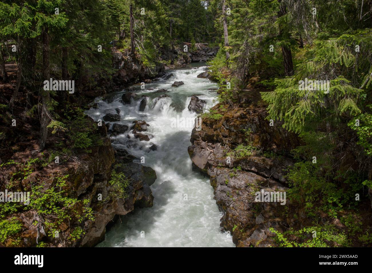 Oregon's upper Rogue River, below its Natural Bridge Stock Photo
